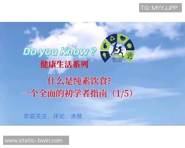 足球入门全图解从基础规则到技巧提升的全面指南